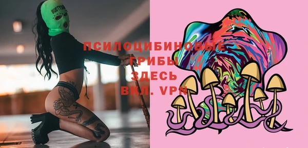 экстази Няндома