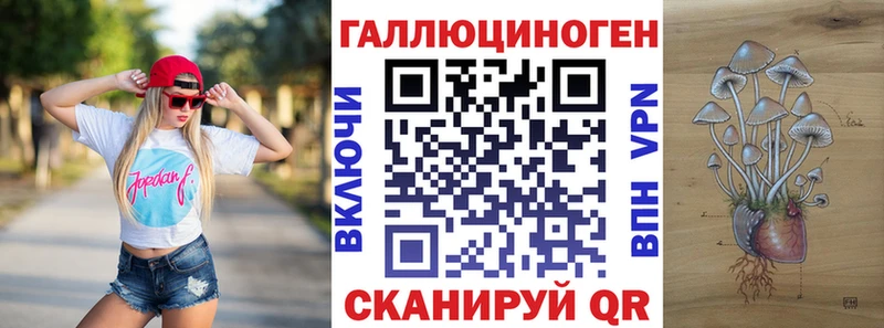 цена   KRAKEN как зайти  Псилоцибиновые грибы Psilocybe  Шарья 