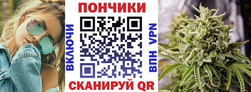 сайты даркнета как зайти  кракен вход  Шарья  Марихуана сатива 